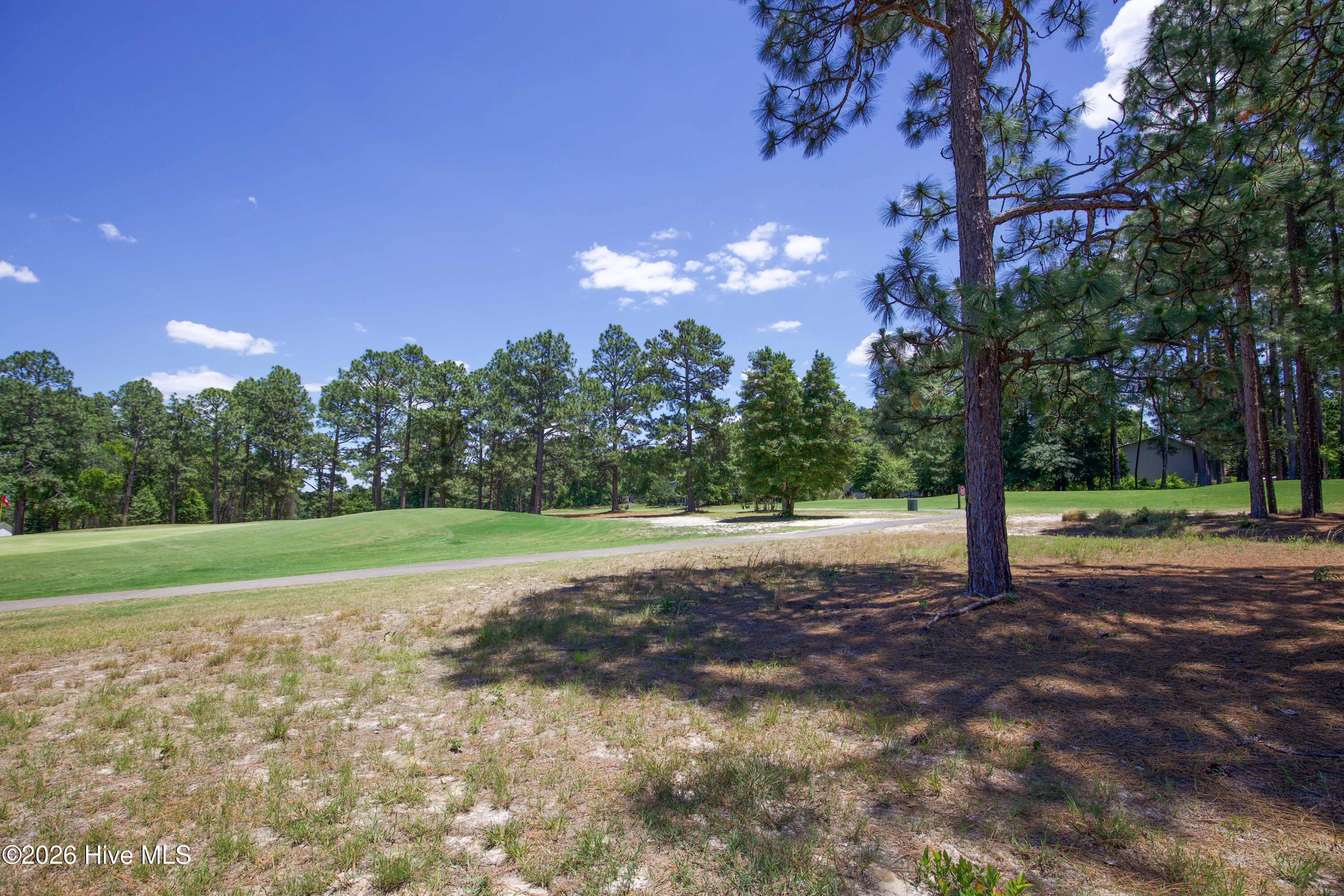 6 Pine Tree Terrace Jackson Springs, NC 27281 - Photo 32 of 35