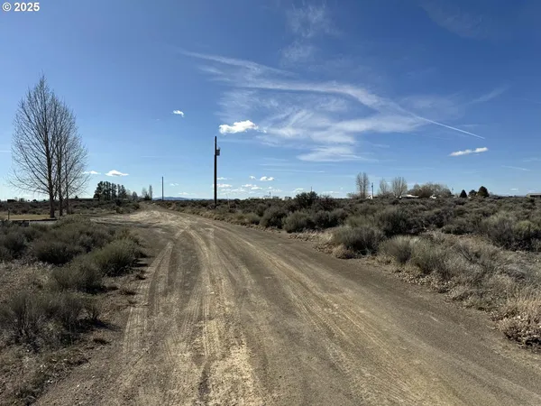 $6,000 | Cottonwood Lane, Unit 2500, Christmas Valley, OR 97641