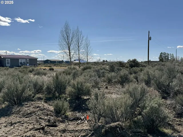 $6,000 | Cottonwood Lane, Unit 2500, Christmas Valley, OR 97641