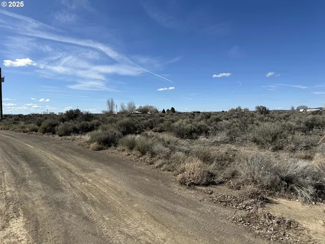a view of a dry yard with trees