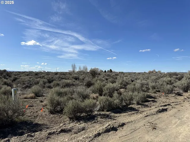 a view of a dry yard with mountains in the background