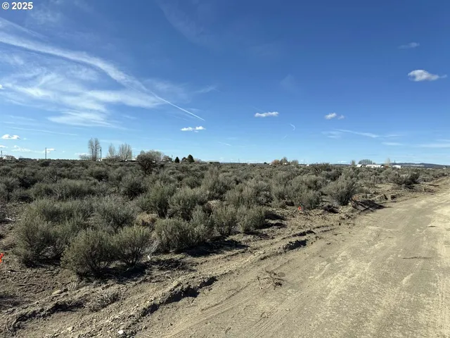 a view of beach and ocean