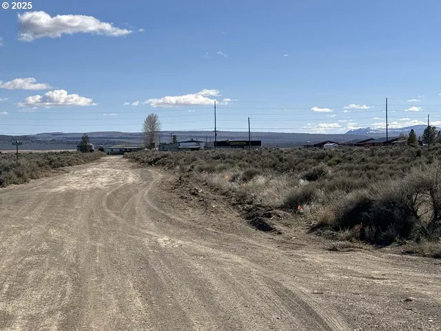 a view of a dry yard