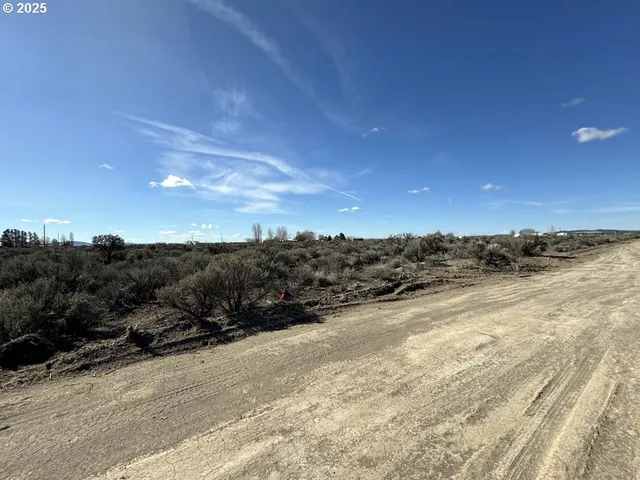 a view of a dry yard