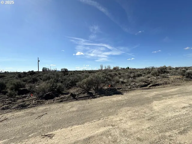 a view of a city with lush green forest