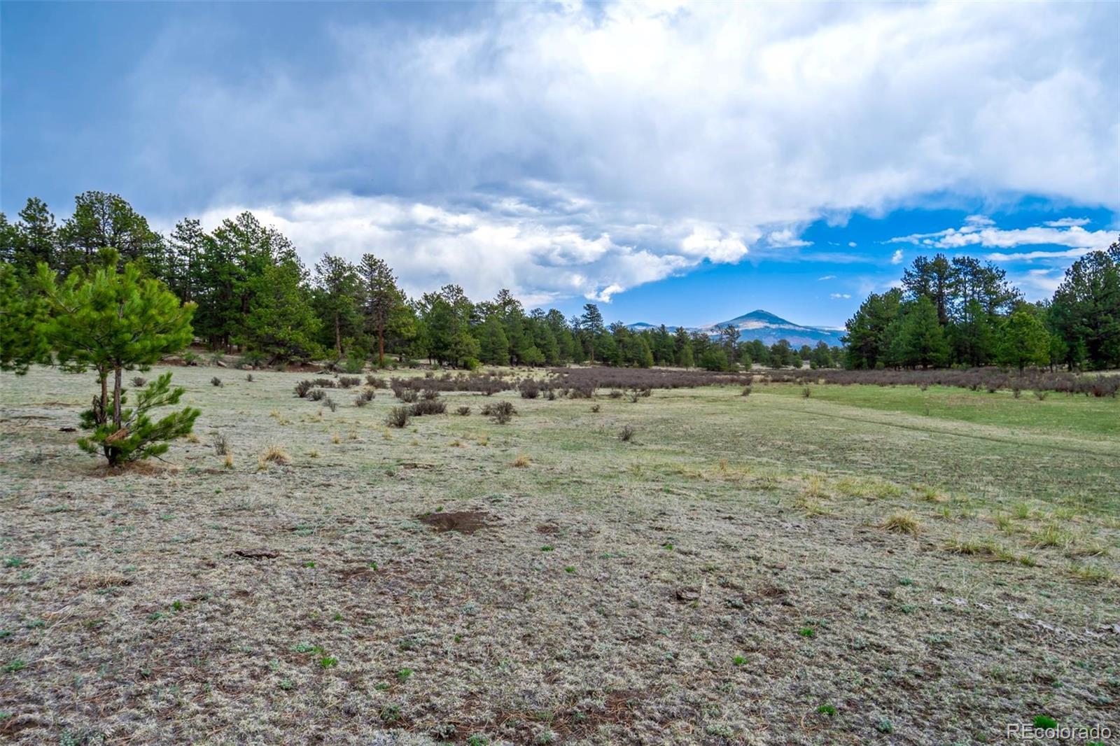 103 Doe Valley Road Guffey, CO 80820 - Photo 3 of 46
