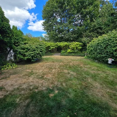 a view of a yard with a tree