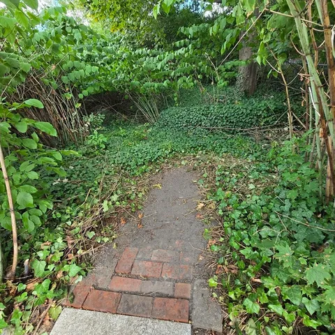 a view of a pathway both side of white house