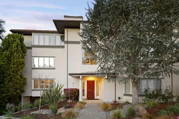 a front view of a house with plants