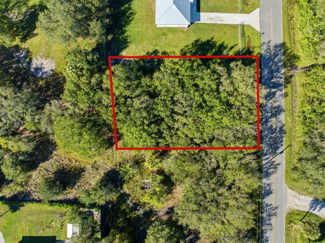 a view of a garden with flowers