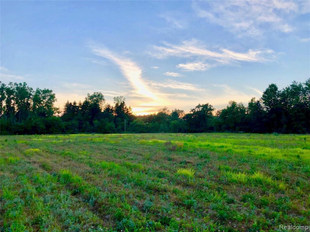 Vl Crawford Road Dryden, MI 48428 - Photo 6 of 17