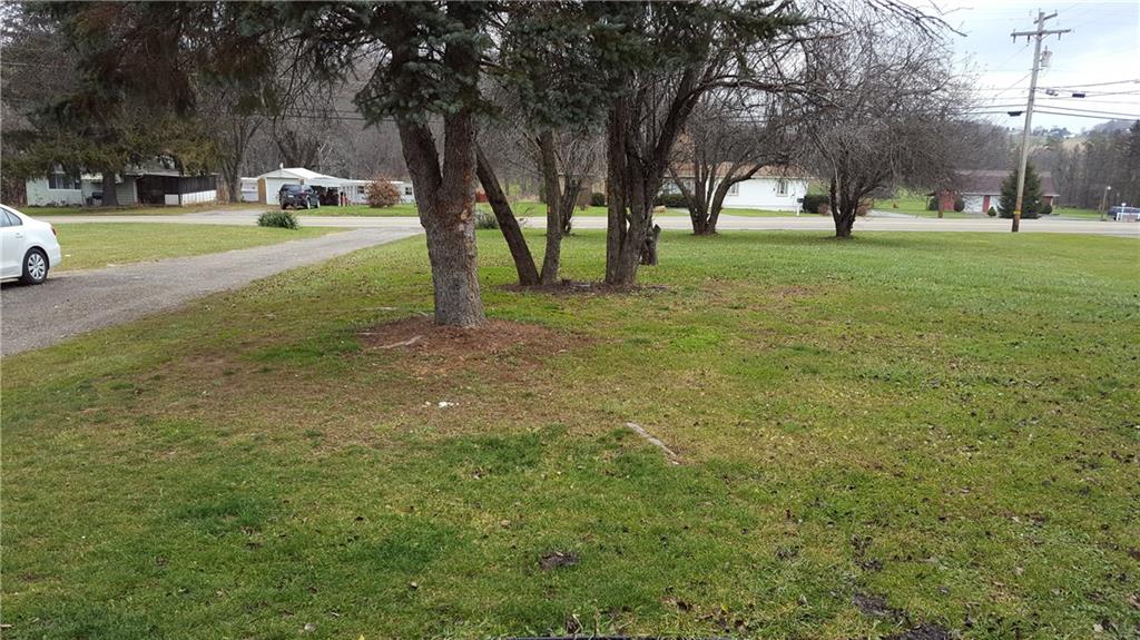904 Saxonburg Road Butler, PA 16002 - Photo 3 of 17 From home looking to road