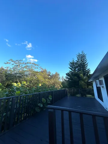 a view of a green field with trees