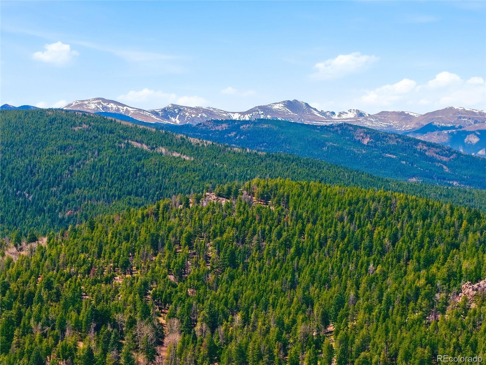 6928 Weasel Way Evergreen, CO 80439 - Photo 43 of 50