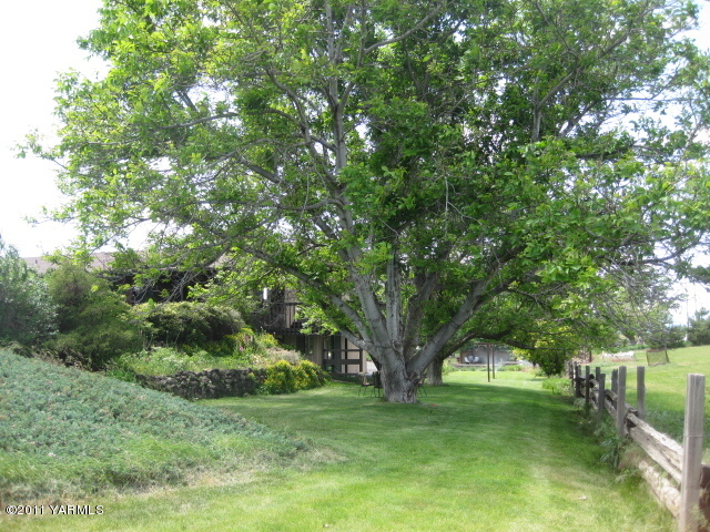 210 White Road Yakima, WA 98901 - Photo 40 of 63 a big yard with lots of green space and plants