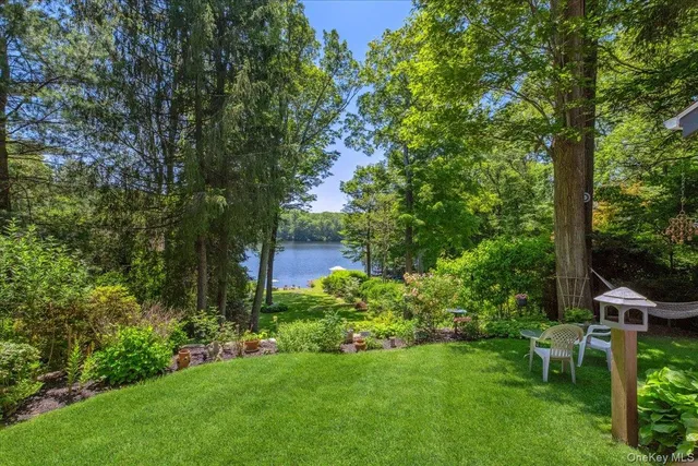 a view of a garden with plants and a bench