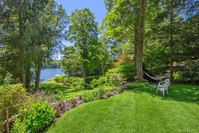 a view of a garden with plants and large trees