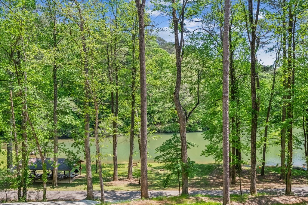 245 Timberwalk Drive Ellijay, GA 30540 - Photo 21 of 56