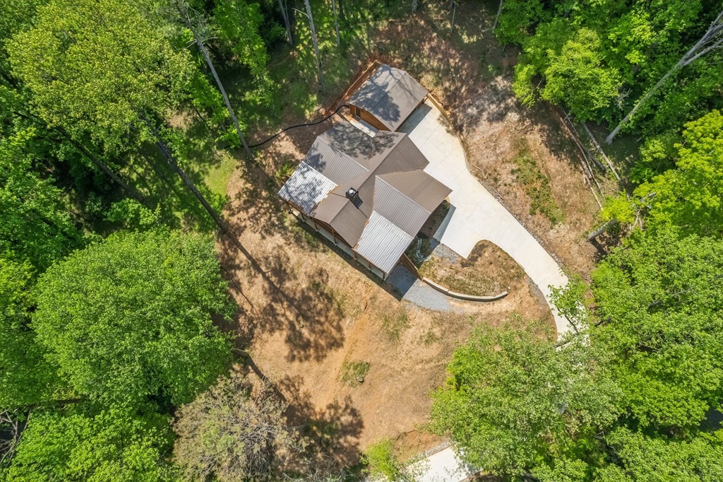 245 Timberwalk Drive Ellijay, GA 30540 - Photo 3 of 56