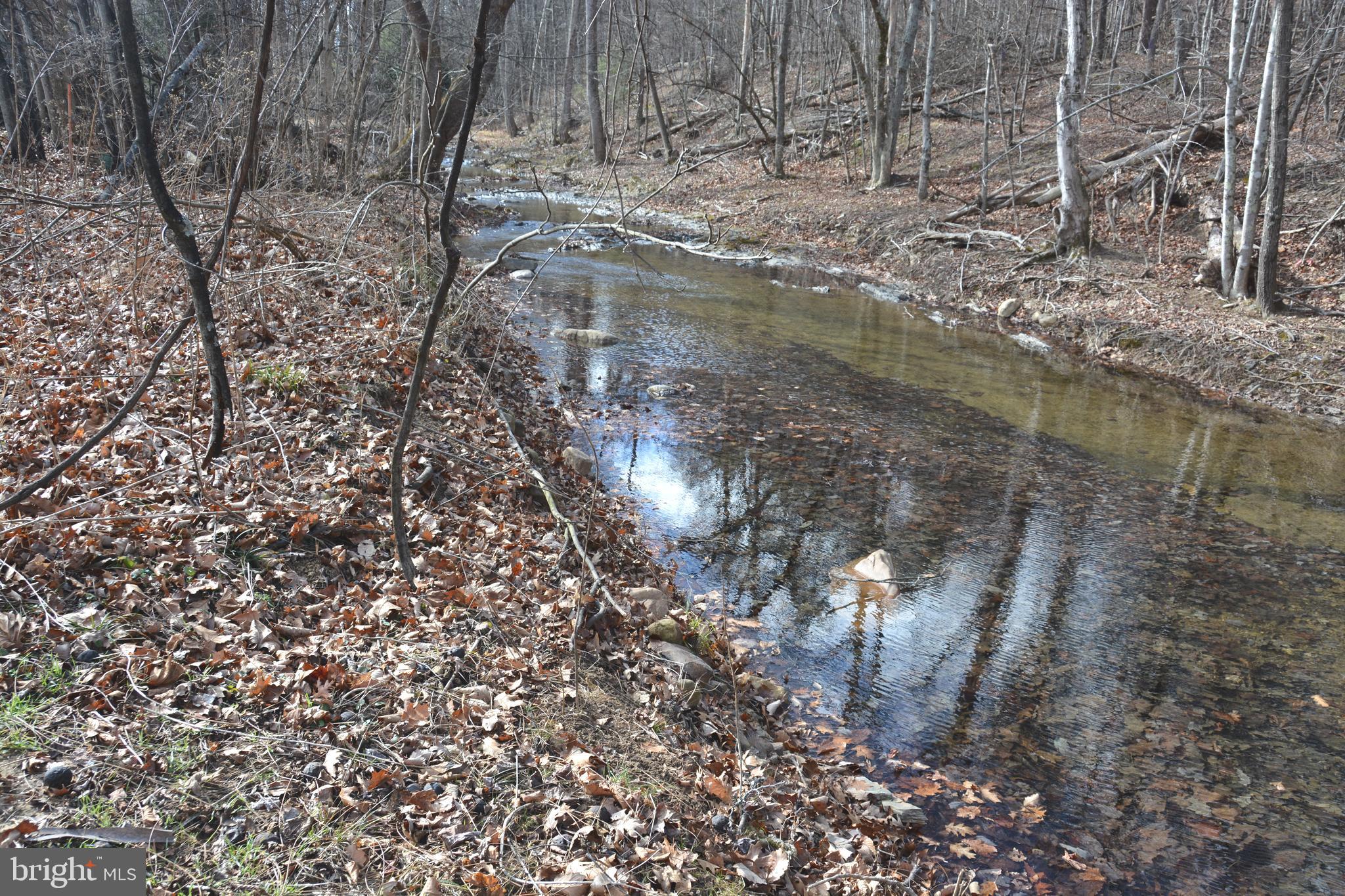 Land extends across Back Creek.
