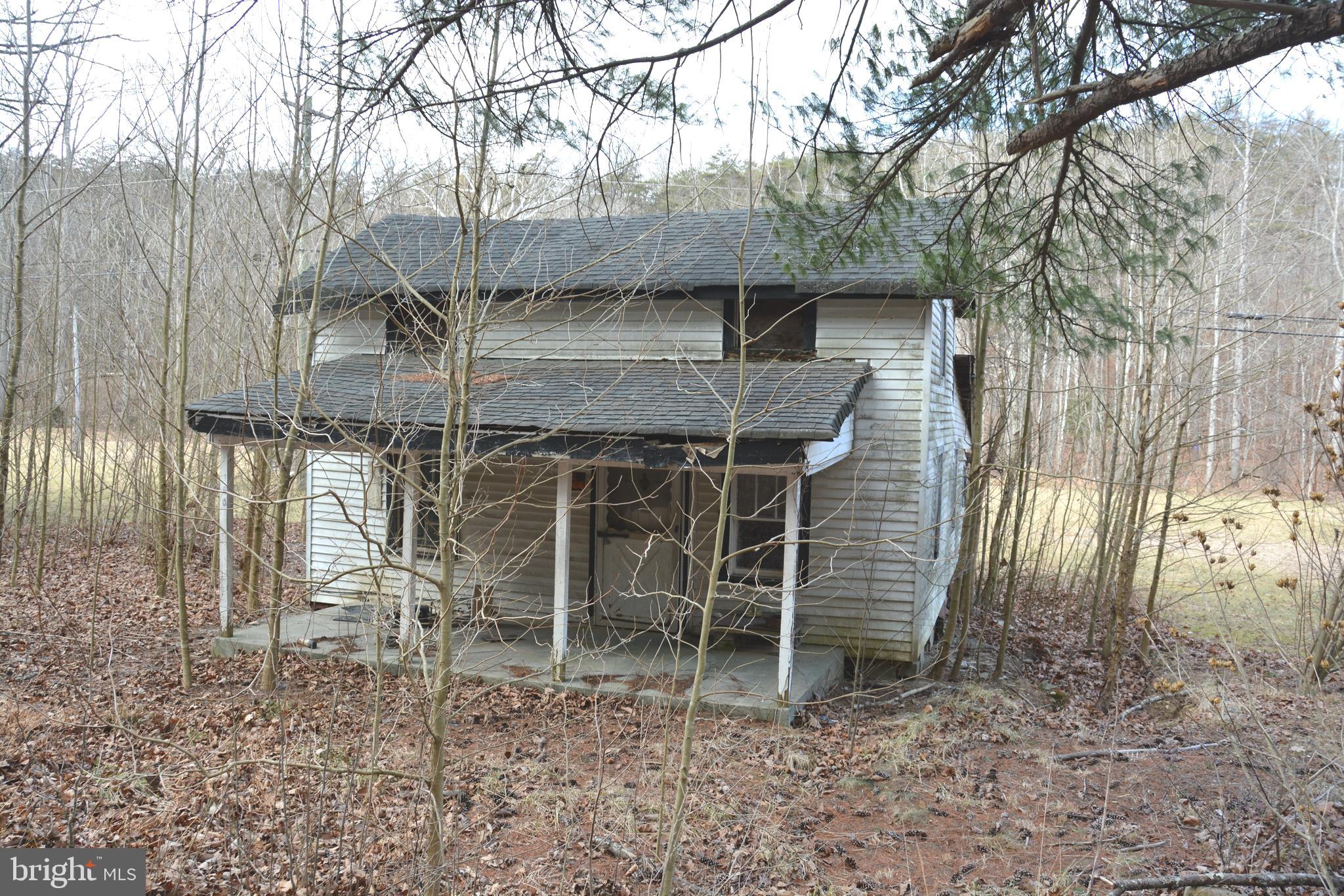 1970 Back Creek Road Gore, VA 22637 - Photo 12 of 17