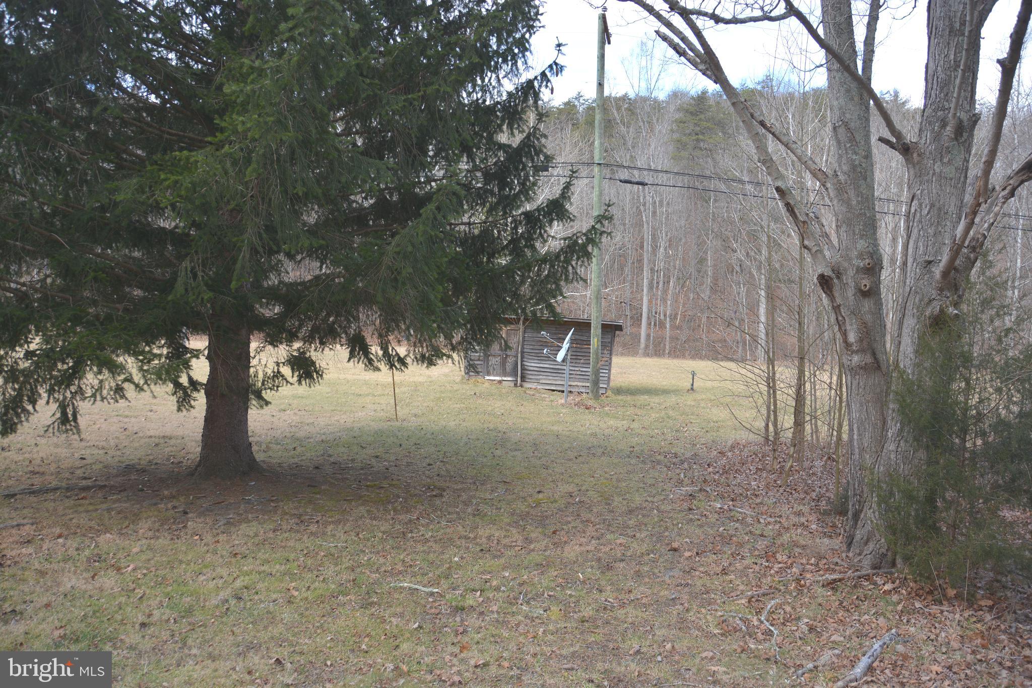 1970 Back Creek Road Gore, VA 22637 - Photo 6 of 17