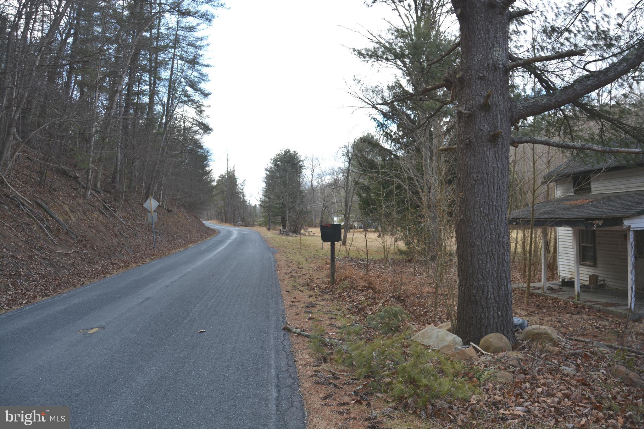 1970 Back Creek Road Gore, VA 22637 - Photo 9 of 17 Frontage on Back Creek Road