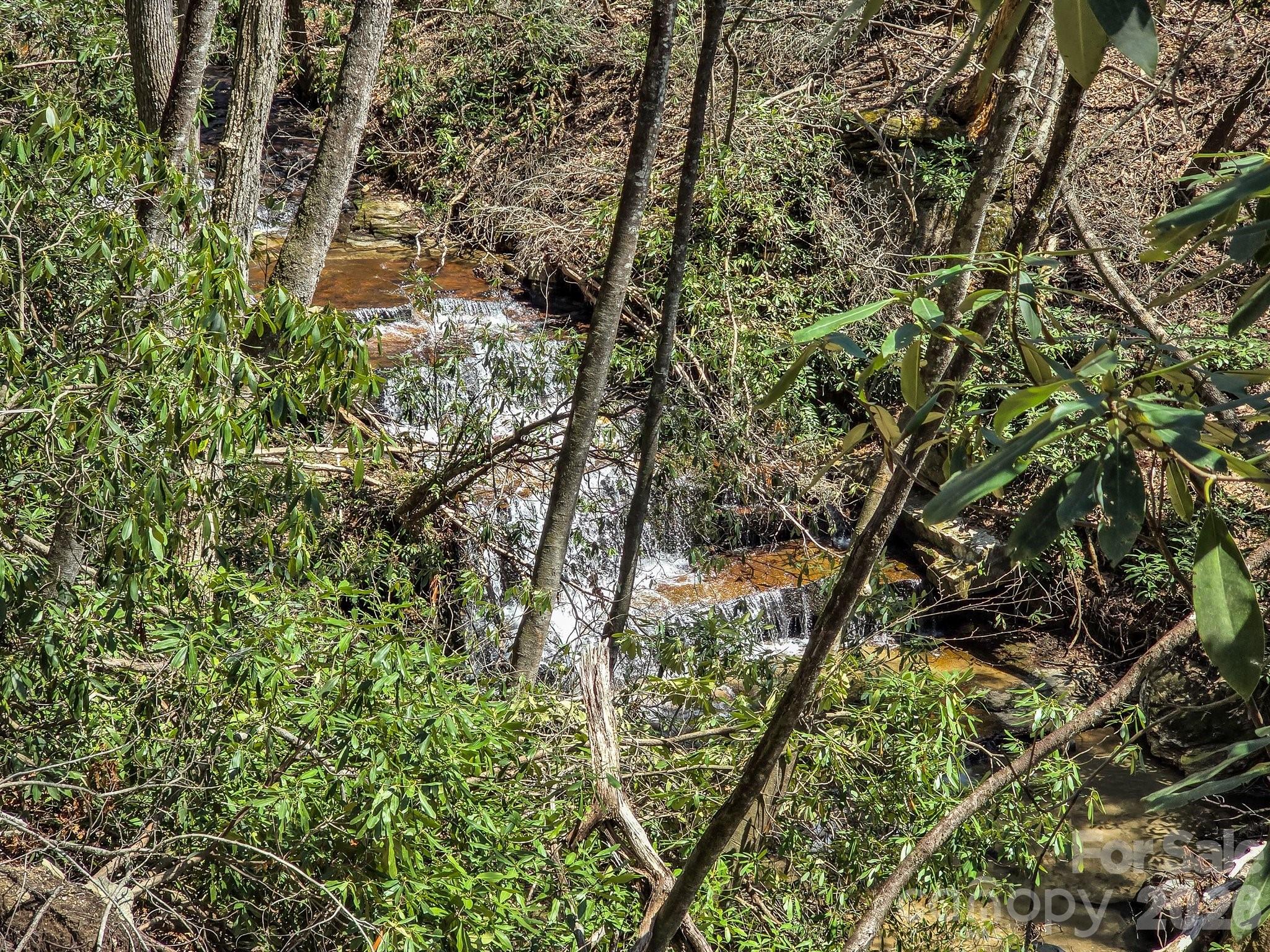 999 Bulling Creek Road Penrose, NC 28766 - Photo 13 of 37