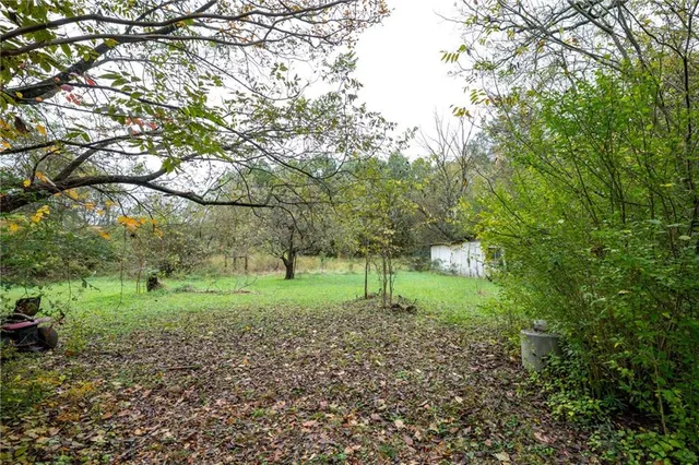 a big yard with lots of green space and deers