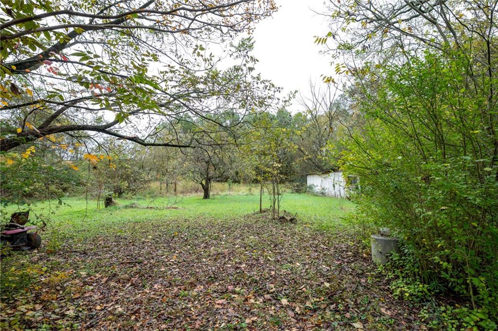 1401 Highway 41 Calhoun, GA 30701 - Photo 3 of 14 a big yard with lots of green space and deers