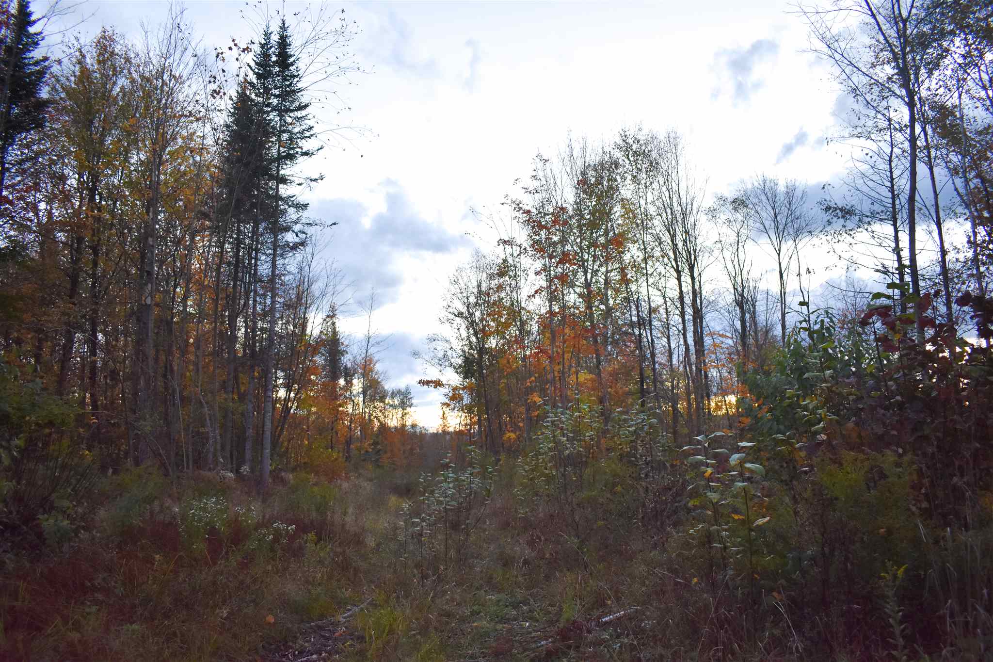 0 South Ridge Road Sutton, VT 05867 - Photo 11 of 12 Gallery Image 11