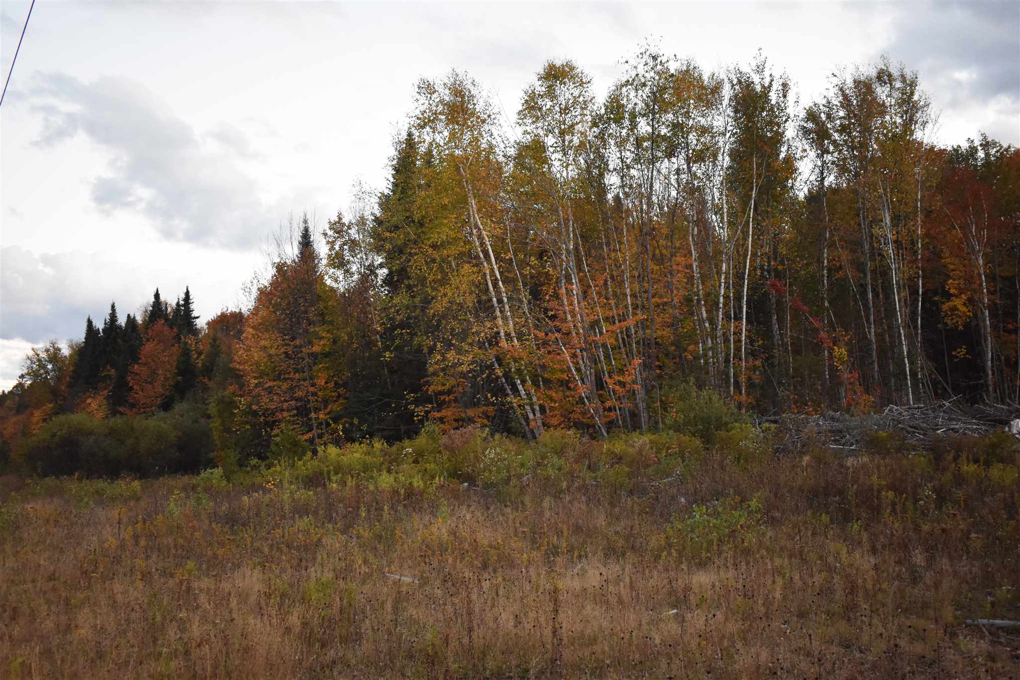 0 South Ridge Road Sutton, VT 05867 - Photo 8 of 12 Gallery Image 8
