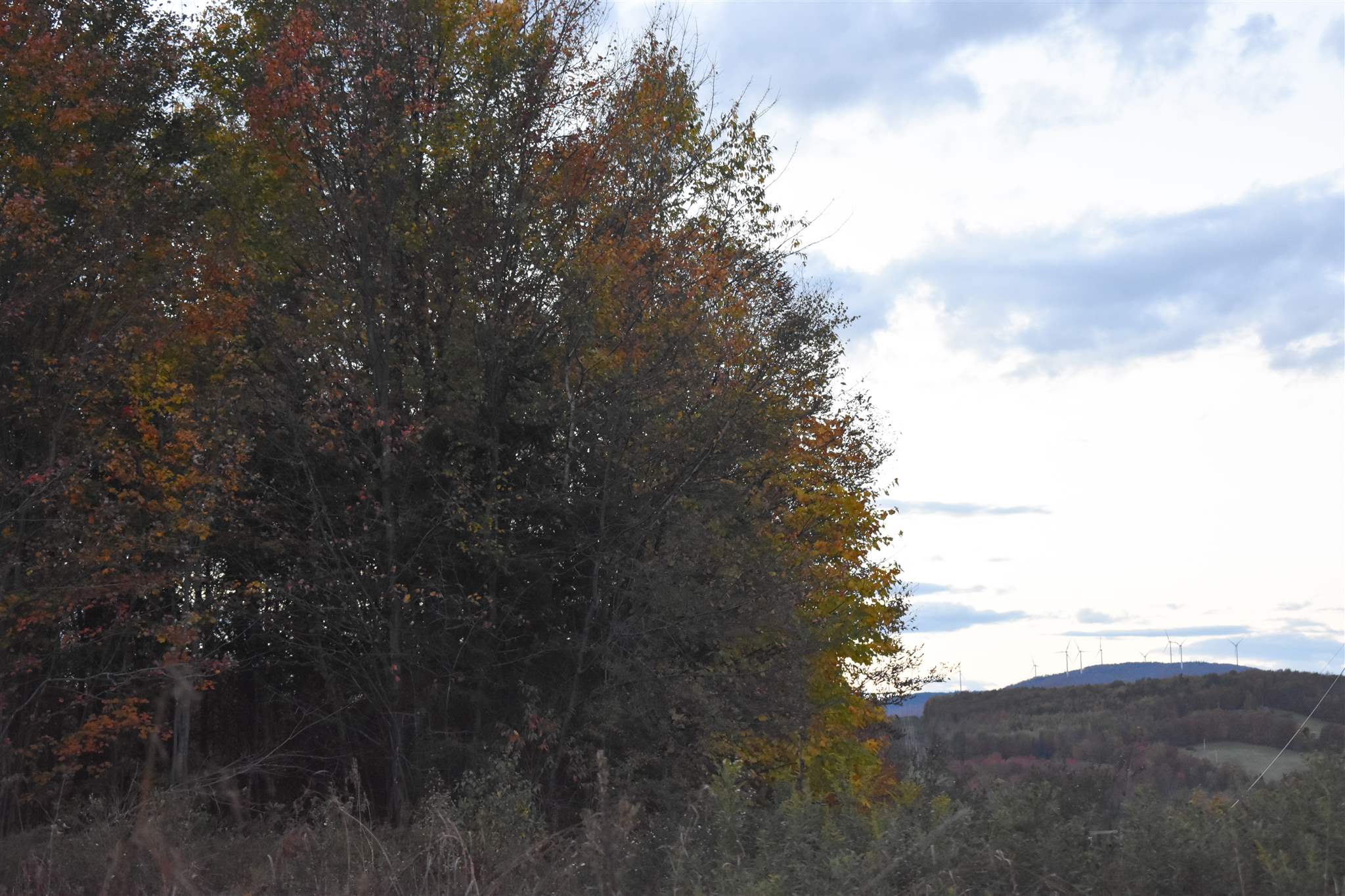 0 South Ridge Road Sutton, VT 05867 - Photo 10 of 12 Gallery Image 10