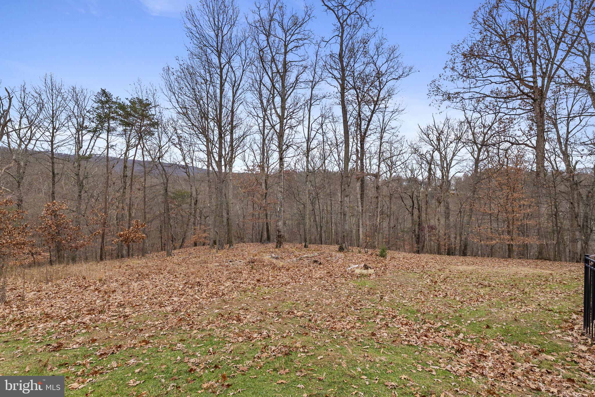 18637 Outpost Road Keedysville, MD 21756 - Photo 80 of 84