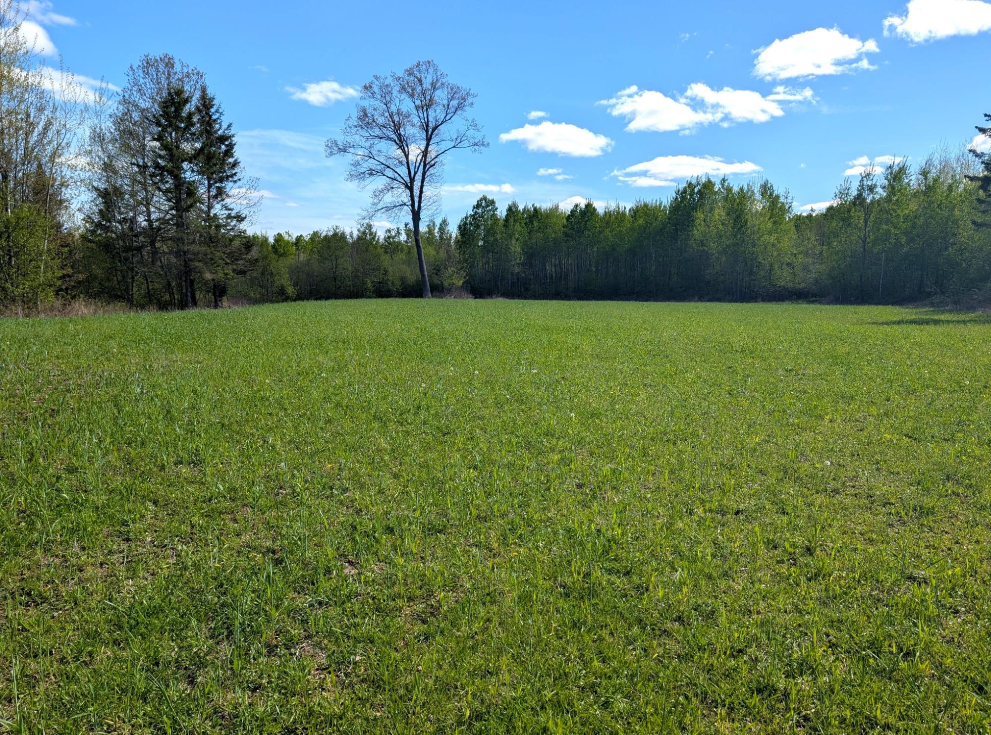 0 Spring Road Ogema, WI 54459 - Photo 15 of 52 Gallery Image 15