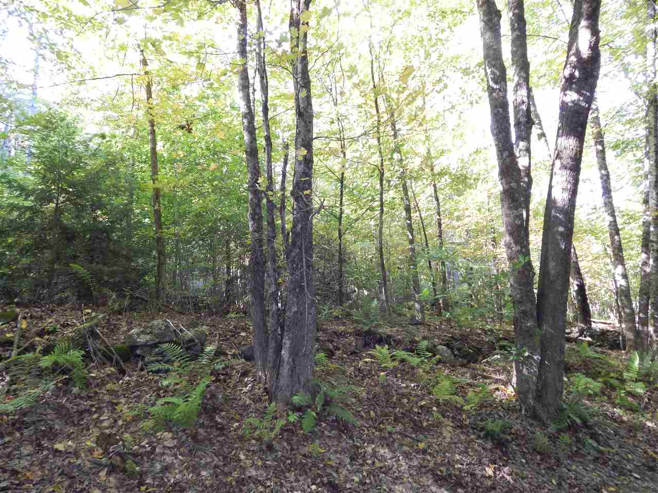0 Columbus Jordan Road Plainfield, NH 03781 - Photo 2 of 3
