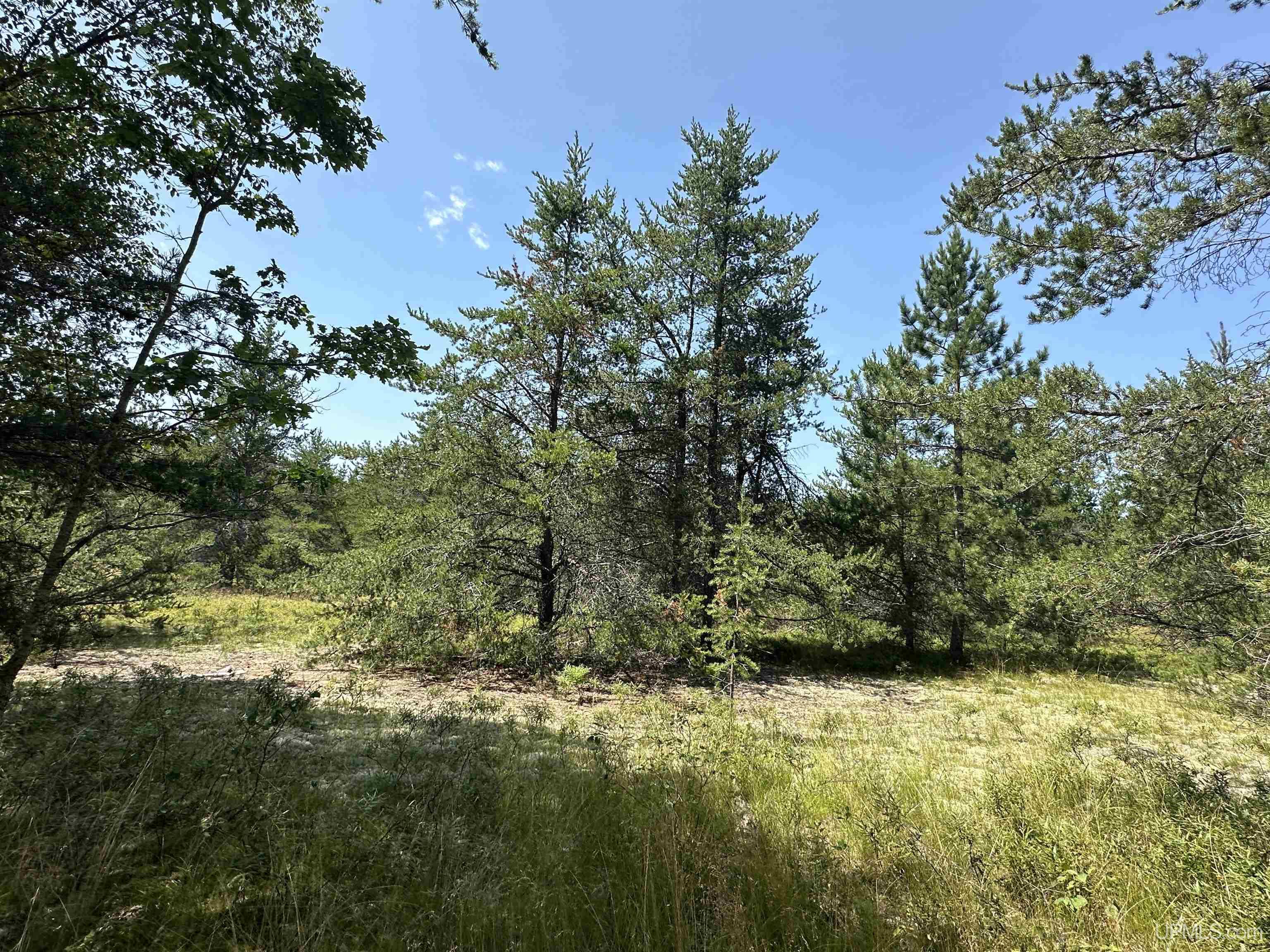 2020-2050 Co Road Little Lake, MI 49833 - Photo 13 of 39