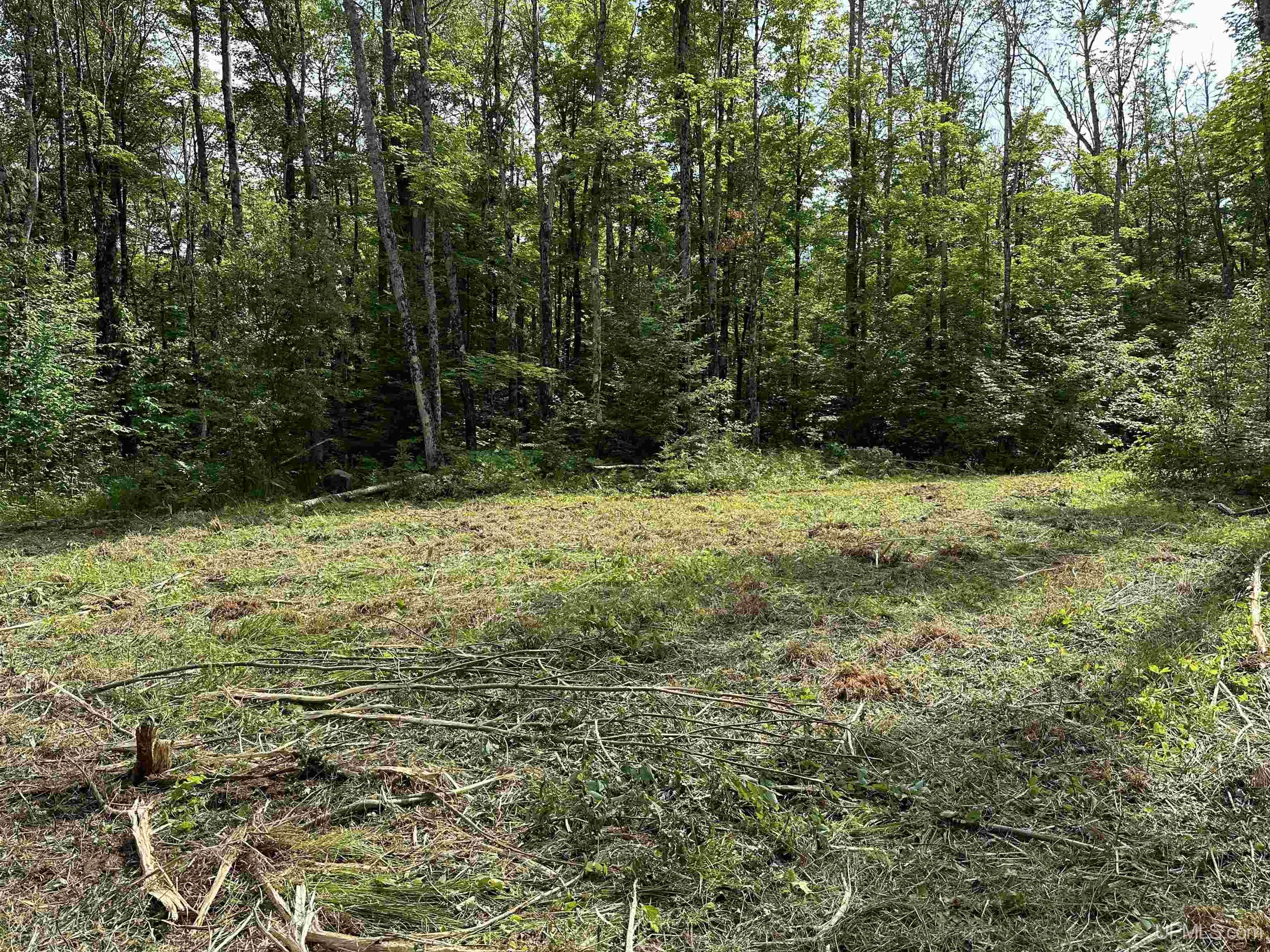 8300 Rd Marenisco Mi 49947 Road Marenisco, MI 49947 - Photo 8 of 13