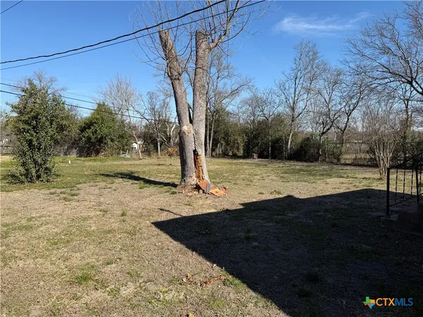 a view of a yard with a tree