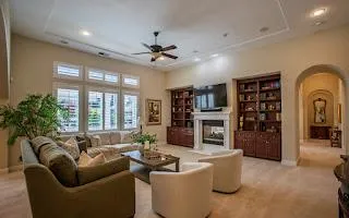 a living room with fireplace furniture and a potted plant