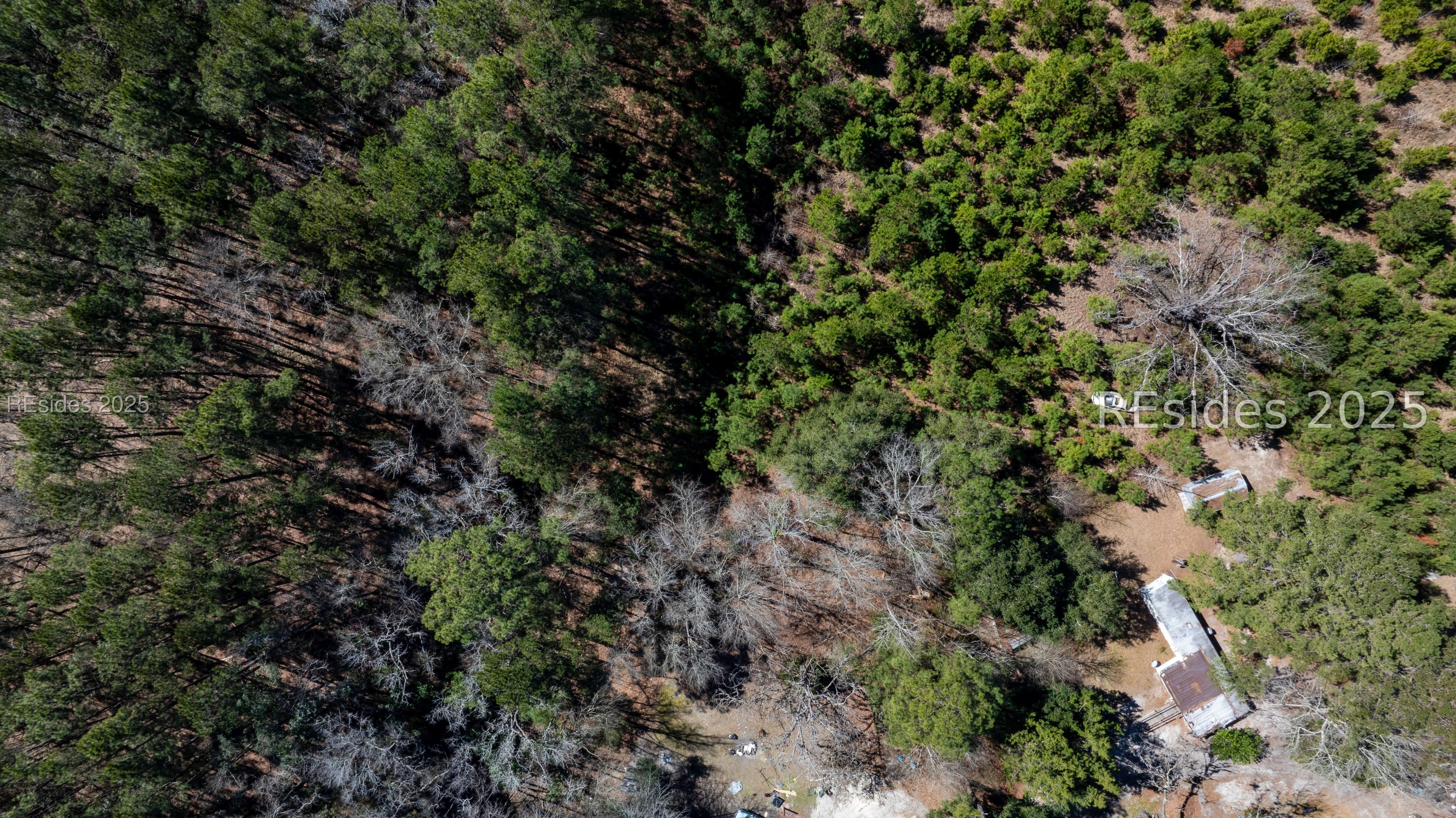 Tbd Firetower Road Ridgeland, SC 29936 - Photo 15 of 23