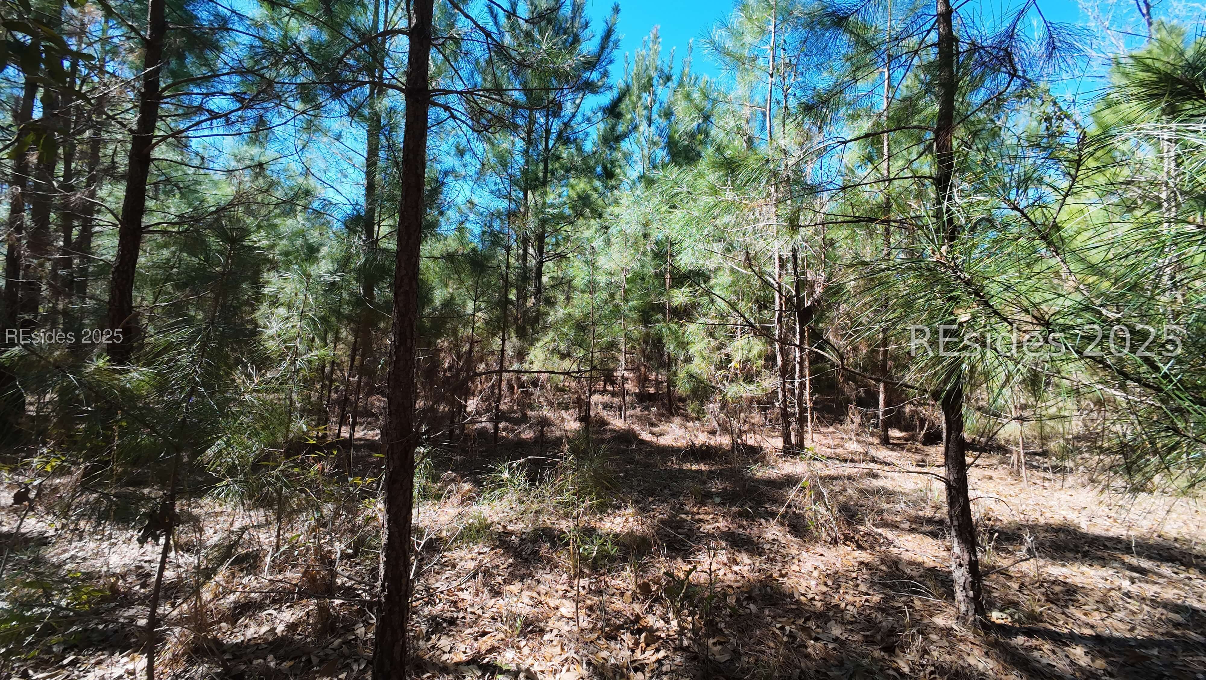 Tbd Firetower Road Ridgeland, SC 29936 - Photo 16 of 23