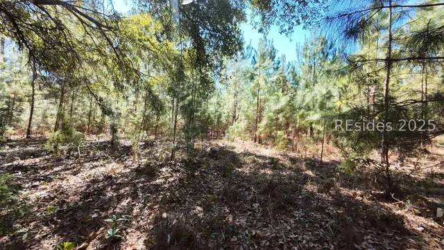 $80,000 | Tbd Firetower Road, Ridgeland, SC 29936