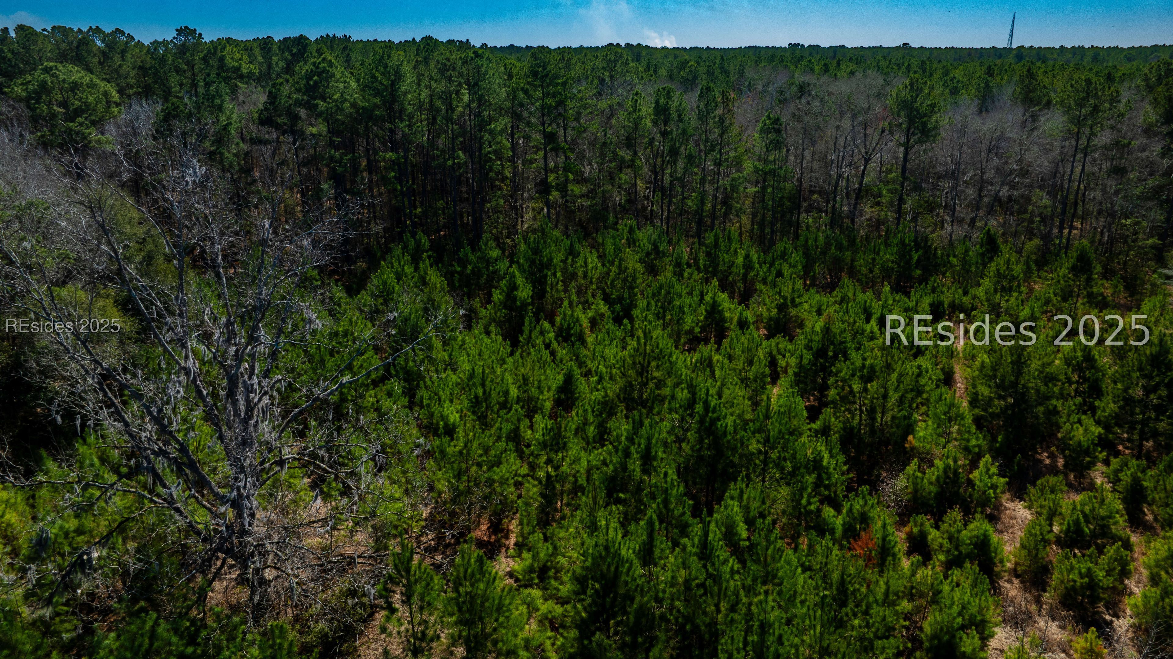 Tbd Firetower Road Ridgeland, SC 29936 - Photo 18 of 23