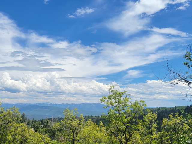 1920 Elk Road, Unit 78 Coalville, UT 84017 - Photo 7 of 16 Expansive mountain scenery with a varied tree line under a broad sky