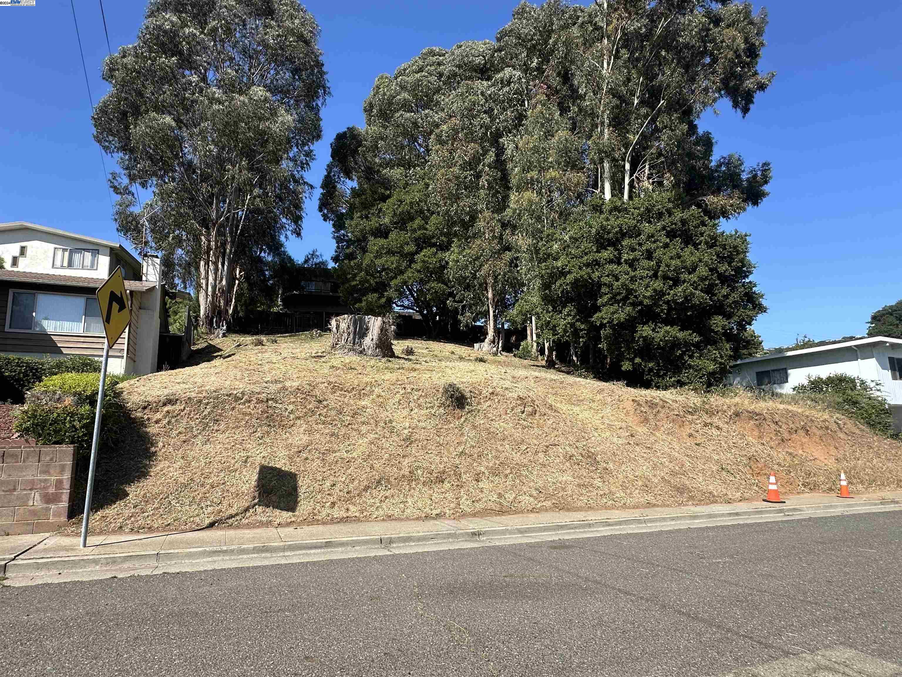 Fair Avenue Oakland, CA 94619 - Photo 1 of 2 a view of road with large trees