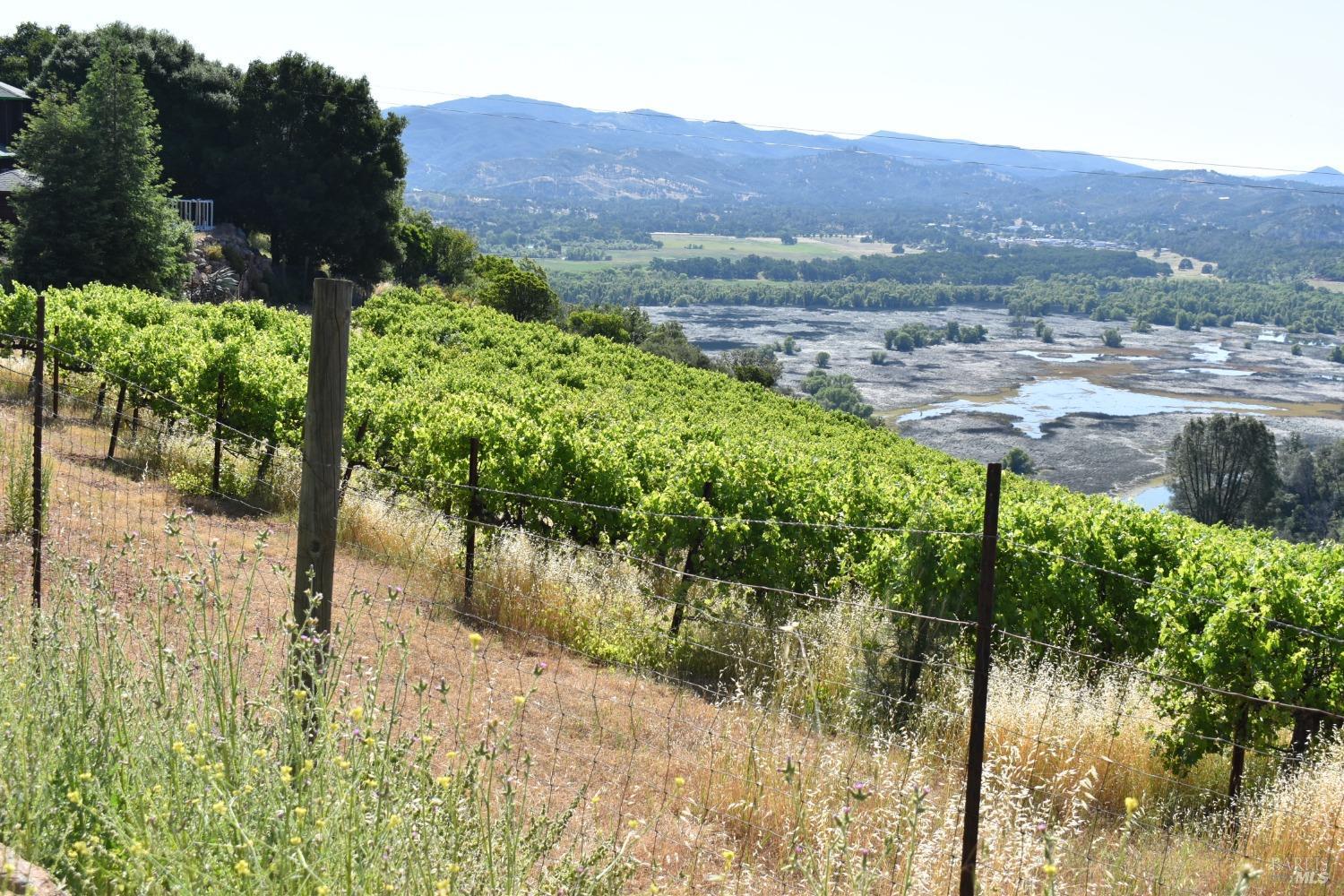 7490 Walnut Lane Lower Lake, CA 95457 - Photo 32 of 44 a view of a back yard
