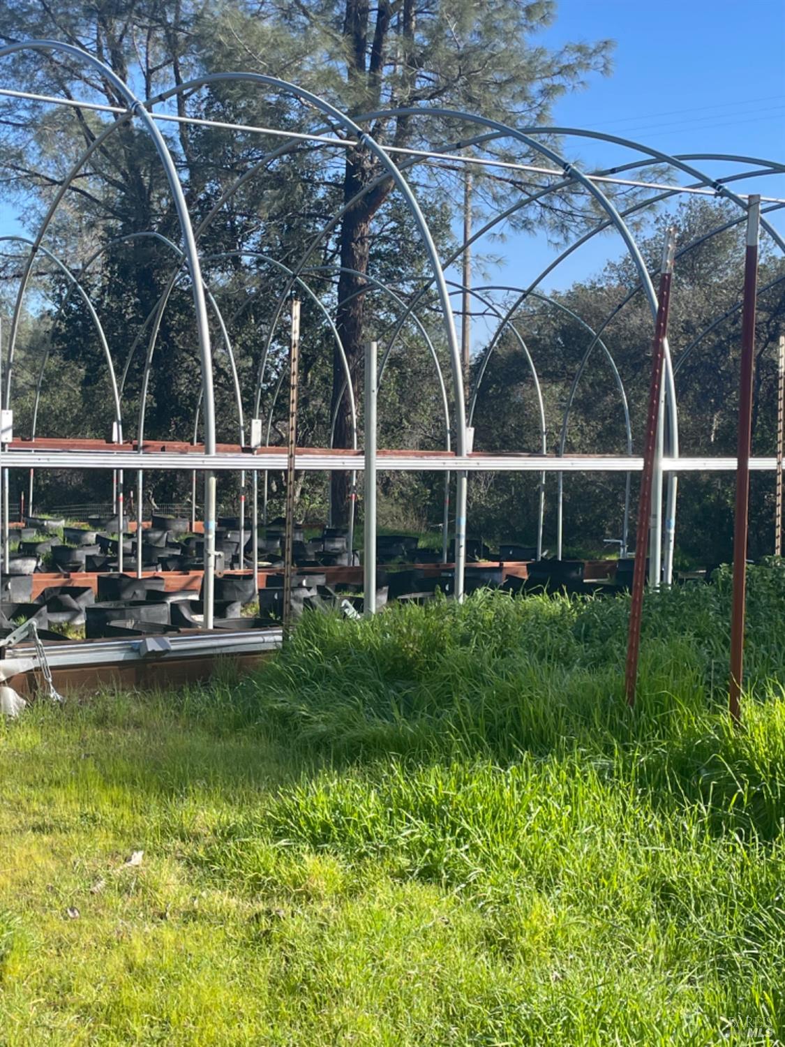 7490 Walnut Lane Lower Lake, CA 95457 - Photo 41 of 44 a view of a swimming pool with lawn chairs and plants