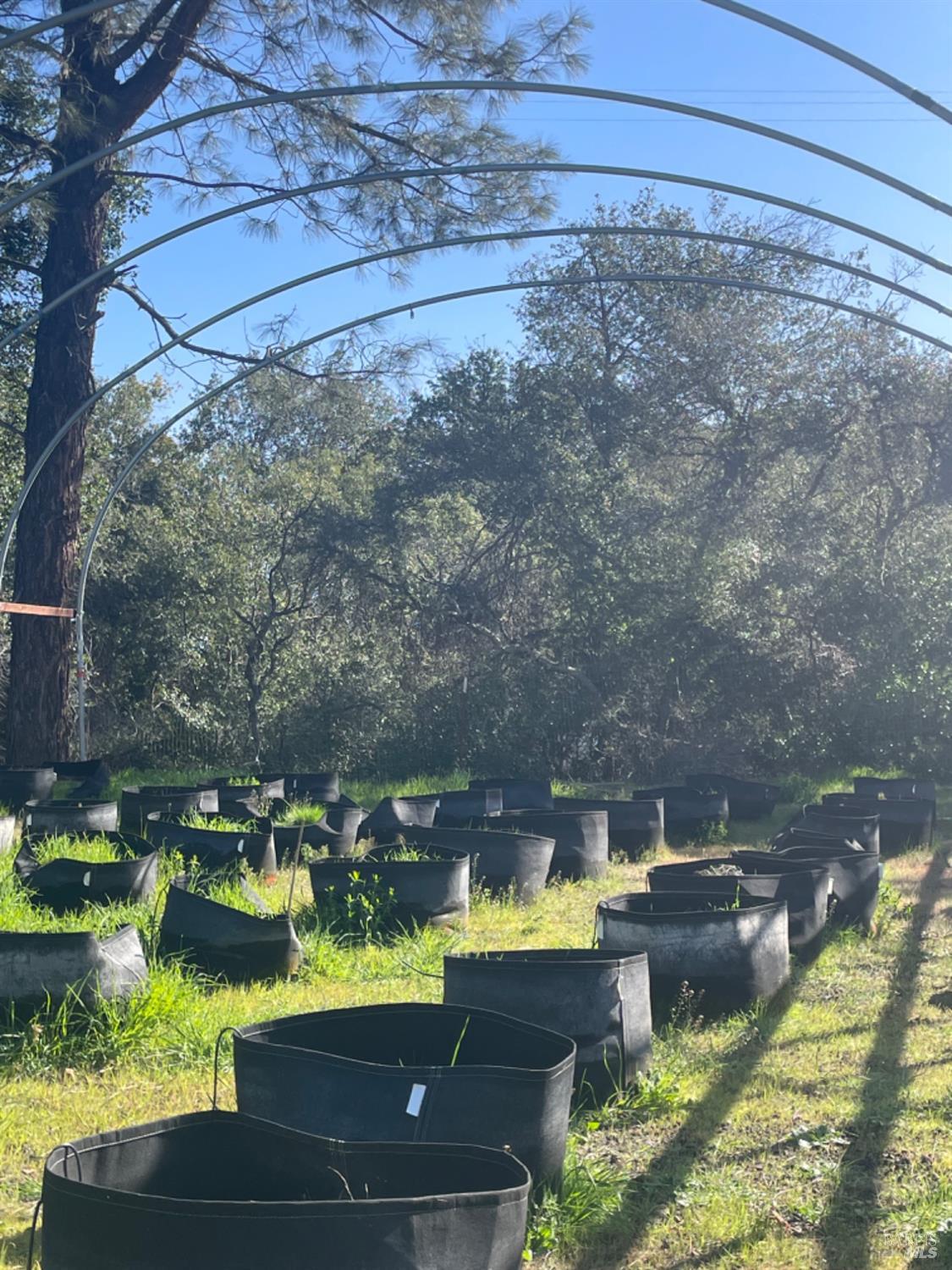 7490 Walnut Lane Lower Lake, CA 95457 - Photo 42 of 44 a view of a swimming pool with a yard