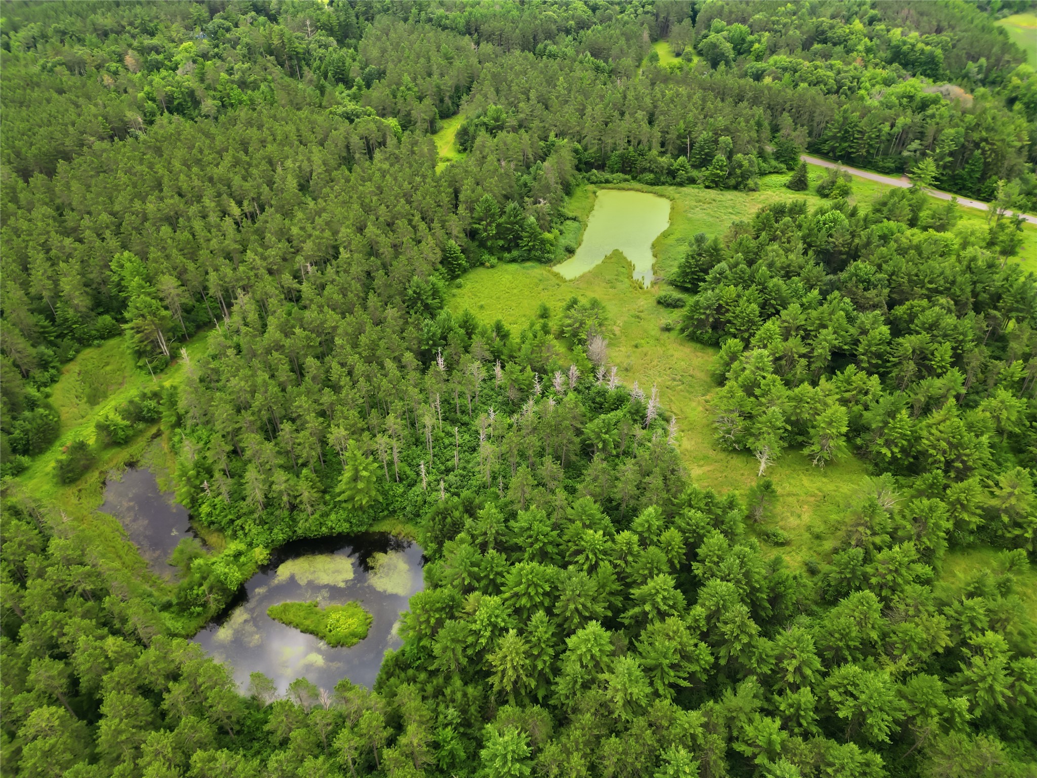0 West Road Black River Falls, WI 54615 - Photo 22 of 43